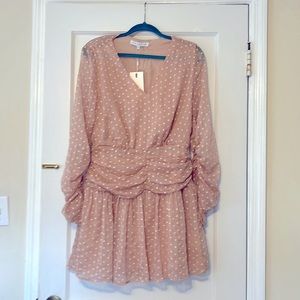 Never worn Vici dolls long sleeve, scrunched dress (mini)